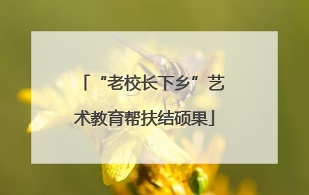 “老校长下乡”艺术教育帮扶结硕果
